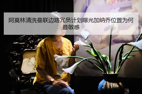 a-mo-lin-qing-xi-man-lian-bian-lu-rong-yuan-ji-hua-bao-guang-jia-na-qiao-wei-zhi-wei-he-zui-min-gan-2-447.jpg