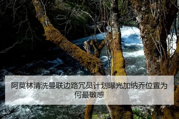 阿莫林清洗曼联边路冗员计划曝光加纳乔位置为何最敏感